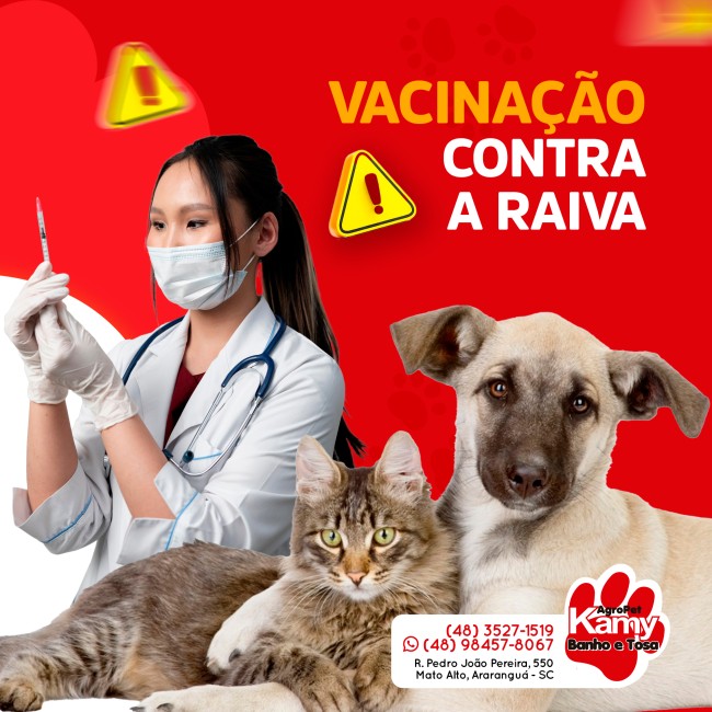 Vacinação