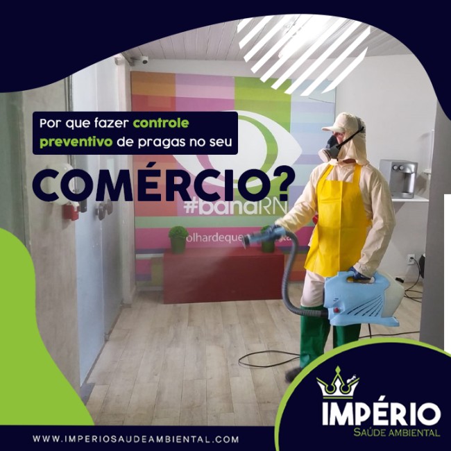 Por que fazer controle preventivo de pragas no seu comércio?