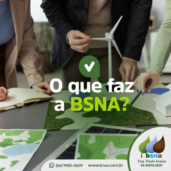 O que faz a BSNA?