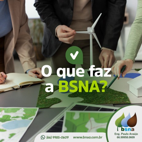 O que faz a BSNA?