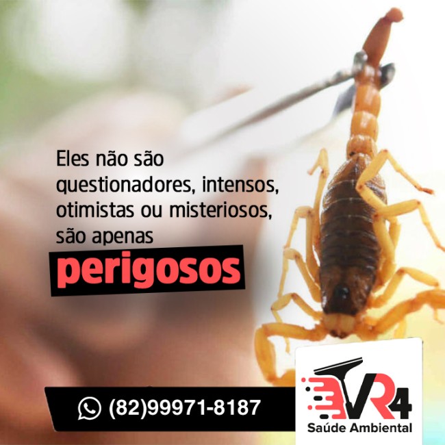 Eles não são questionadores, intensos, otimistas ou misteriosos, são apenas perigosos