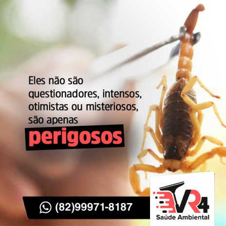 Eles não são questionadores, intensos, otimistas ou misteriosos, são apenas perigosos
