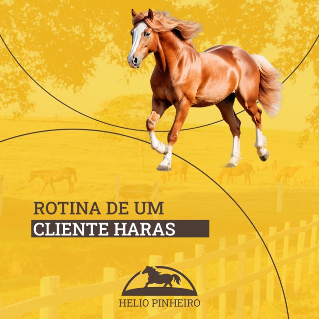 Rotina