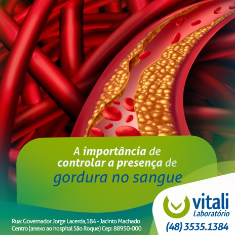 A importância de controlar a presença de gordura no sangue
