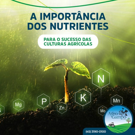 A importância dos nutrientes para o sucesso das culturas agrícolas