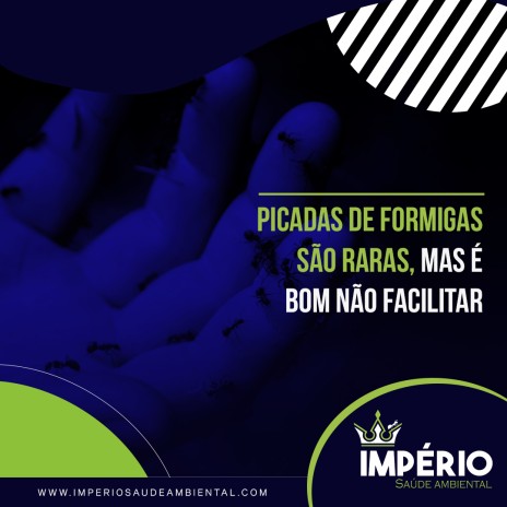 Picadas de formigas são raras, mas é bom não facilitar