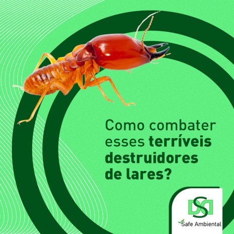 Como combater esses terríveis destruidores de lares?