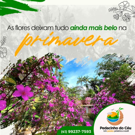 As flores deixam tudo ainda mais belo na primavera