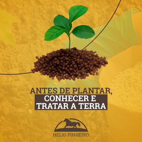Antes de plantar, conhecer e tratar a terra