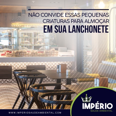 Não convide essas pequenas criaturas para almoçar em sua lanchonete