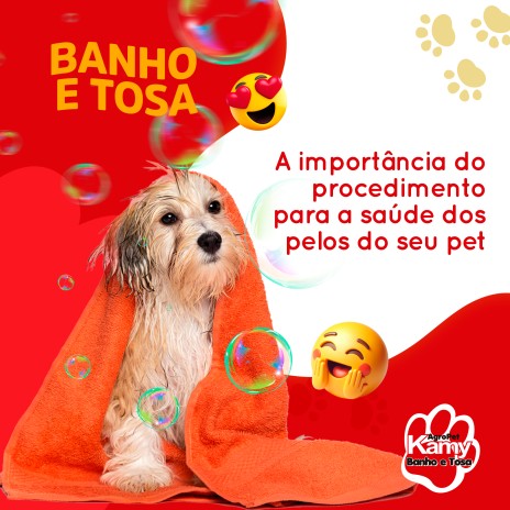A importância do procedimento de banho e tosa para a saúde dos pelos do seu pet