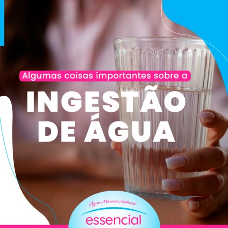 Algumas coisas importantes sobre a ingestão de água