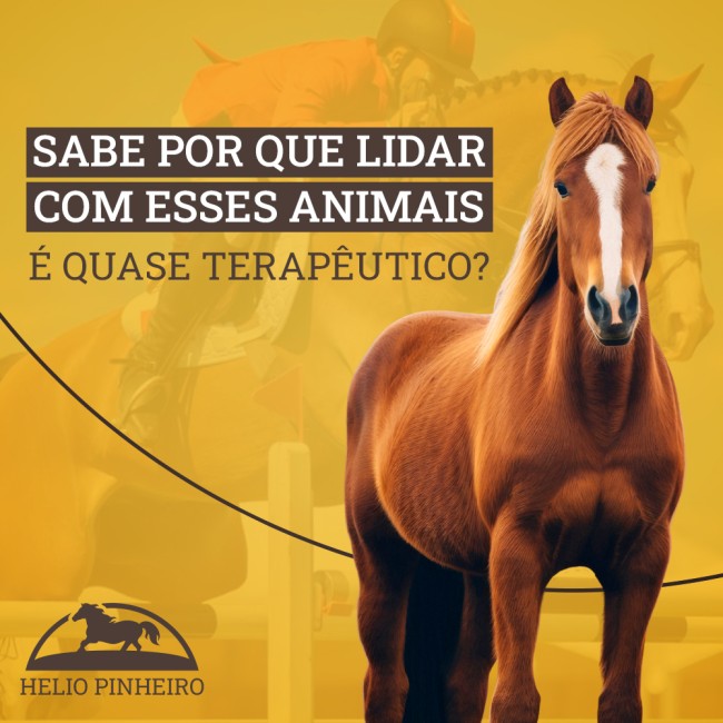 Sabe por que lidar com esses animais é quase terapêutico?