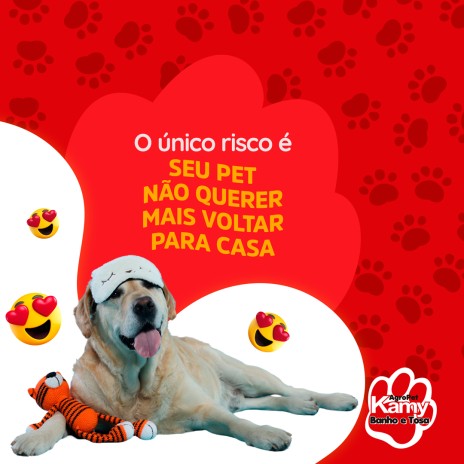 O único risco é seu pet não querer mais voltar para casa
