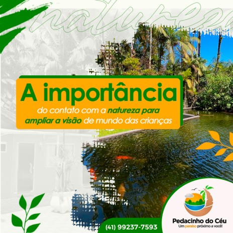 A importância do contato com a natureza para ampliar a visão de mundo das crianças