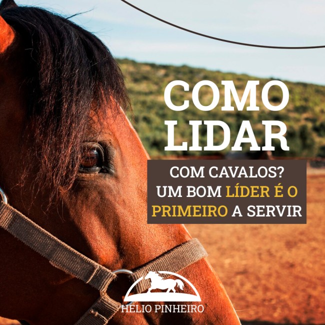 Como lidar com cavalos? Um bom líder é o primeiro a servir