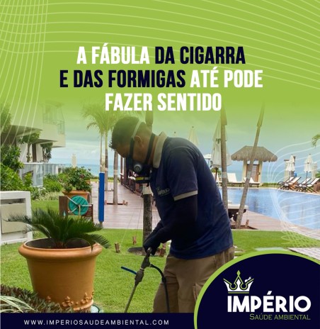 A fábula da cigarra e das formigas até pode fazer sentido