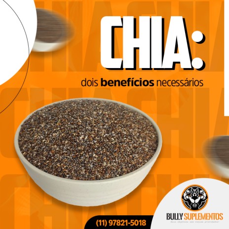 Chia: dois benefícios necessários