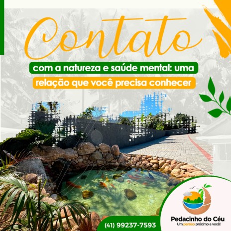 Contato com a natureza e saúde mental: uma relação que você precisa conhecer