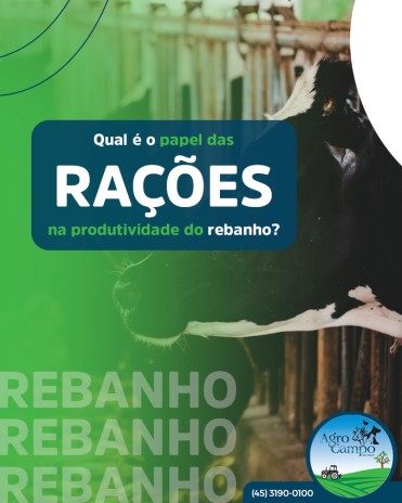 Qual é o papel das rações na produtividade do rebanho?
