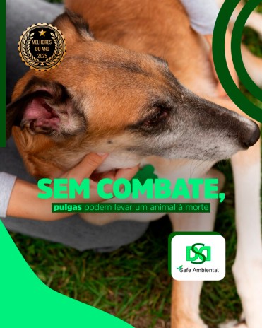 Sem combate, pulgas podem levar um animal à morte