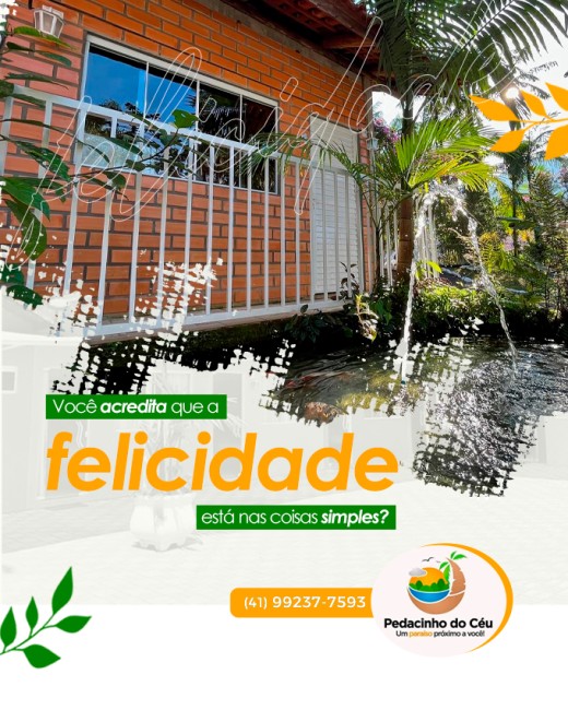 Você acredita que a felicidade está nas coisas simples?