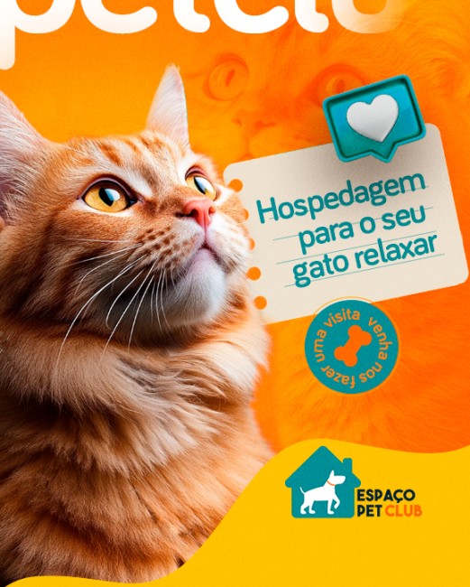 Hospedagem para gatos