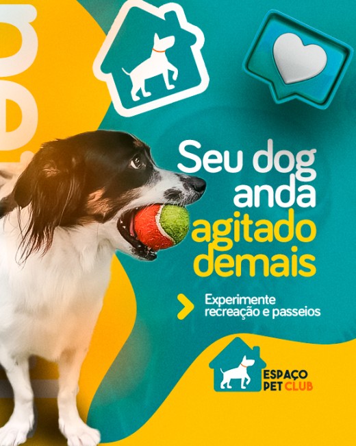 Seu dog anda agitado de mais