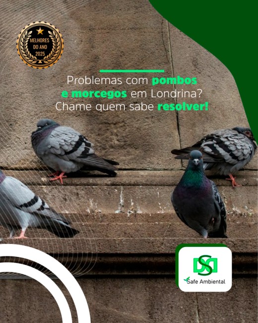 Problemas com pombos e morcegos em Londrina? Chame quem sabe resolver