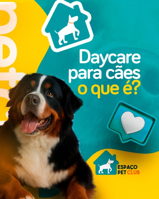 Day care para cães: o que é?