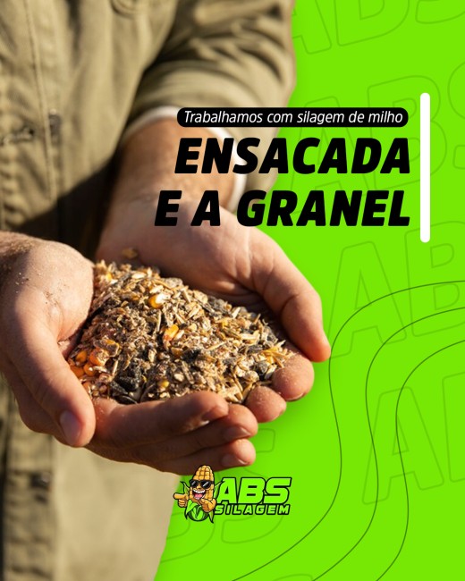 Trabalhamos com silagem de milho ensacada e a granel