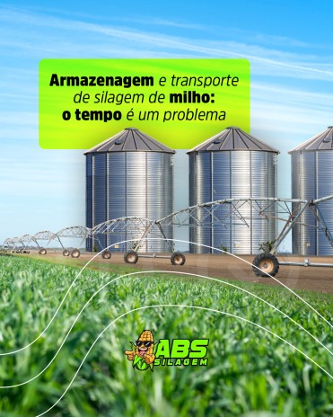Armazenagem e transporte de silagem de milho: o tempo é um problema