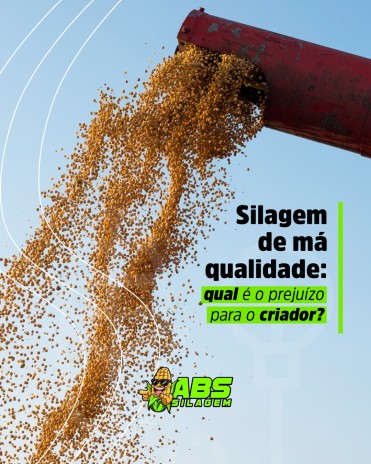 Silagem de má qualidade: qual é o prejuízo para o criador?