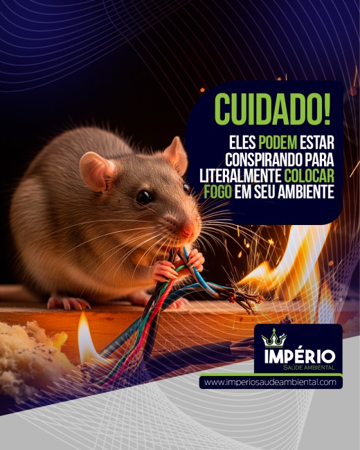 Cuidado! Eles podem estar conspirando para literalmente colocar fogo em seu ambiente