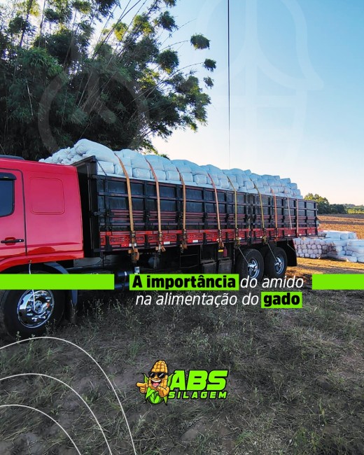 A importância do amido na alimentação do gado