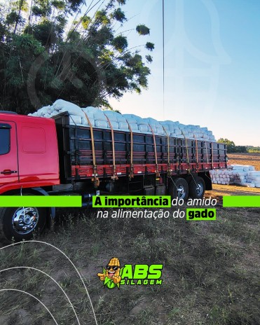 A importância do amido na alimentação do gado