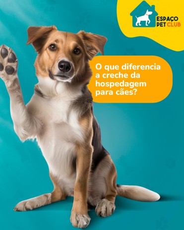 O que diferencia a creche da hospedagem para cães?