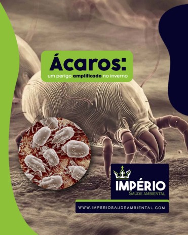 Ácaros: um perigo amplificado no inverno