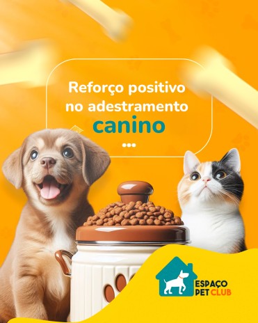 Reforço positivo no adestramento canino