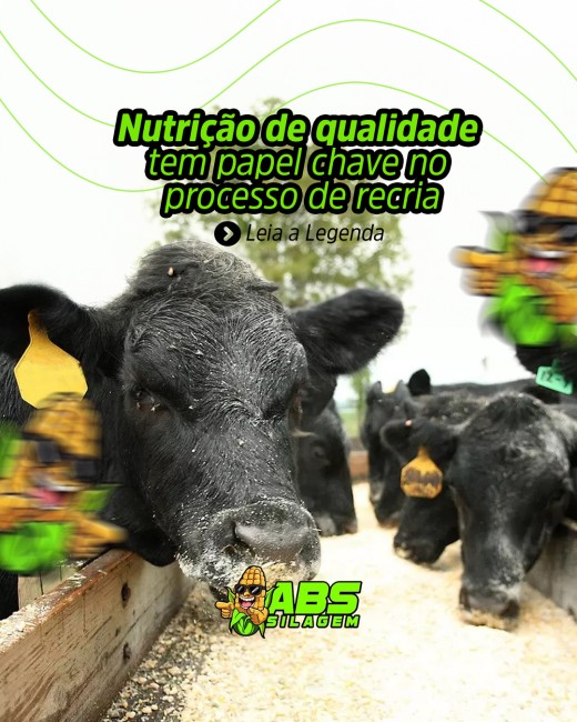 Nutrição de qualidade tem papel chave no processo de recria