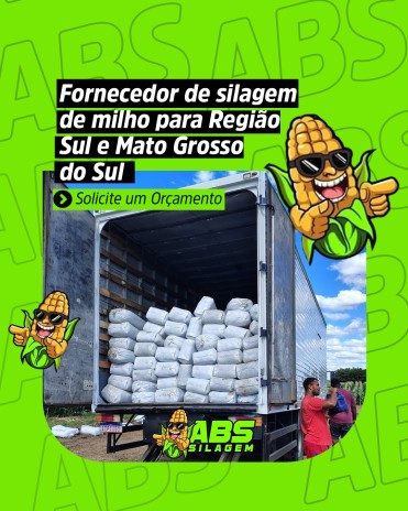Fornecedor de silagem de milho para Região Sul e Mato Grosso do Sul