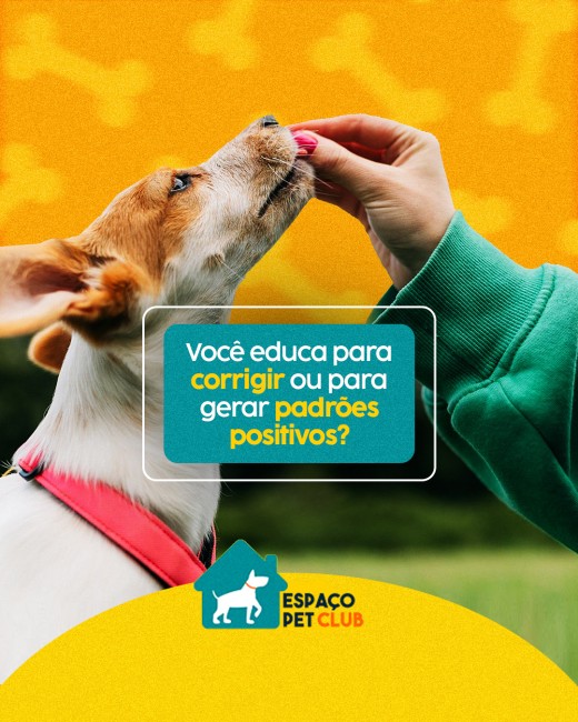 Você educa para corrigir ou para gerar padrões positivos?