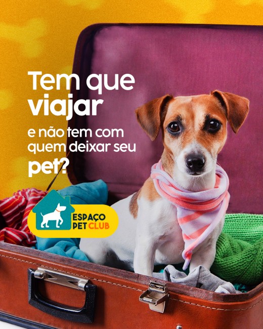 Tem que viajar e não tem com quem deixar seu pet?