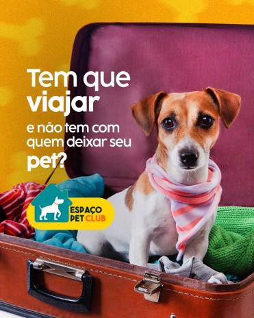Tem que viajar e não tem com quem deixar seu pet?