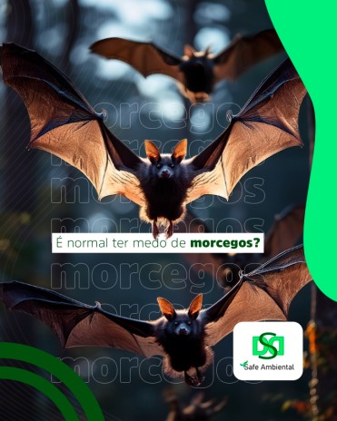 É normal ter medo de morcegos?