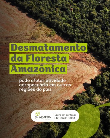 Desmatamento da Floresta Amazônica pode afetar atividade agropecuária em outras regiões do país