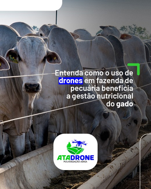 Entenda como o uso de drones em fazenda de pecuária beneficia a gestão nutricional do gado