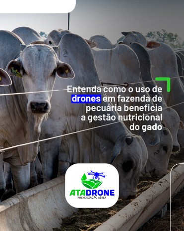 Entenda como o uso de drones em fazenda de pecuária beneficia a gestão nutricional do gado