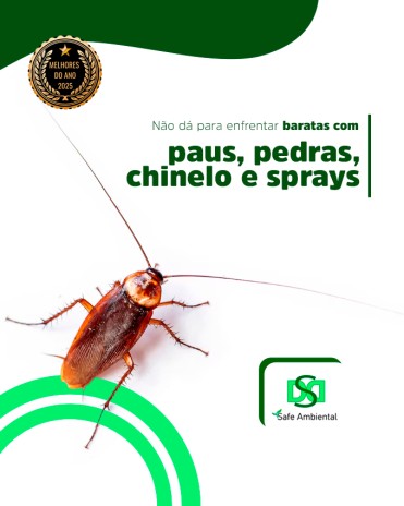 Não dá para enfrentar baratas com paus, pedras, chinelo e sprays