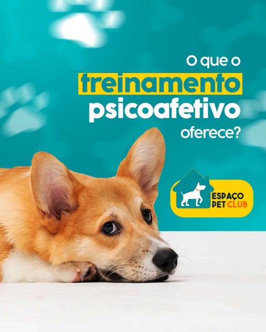 O que o treinamento psicoafetivo oferece?